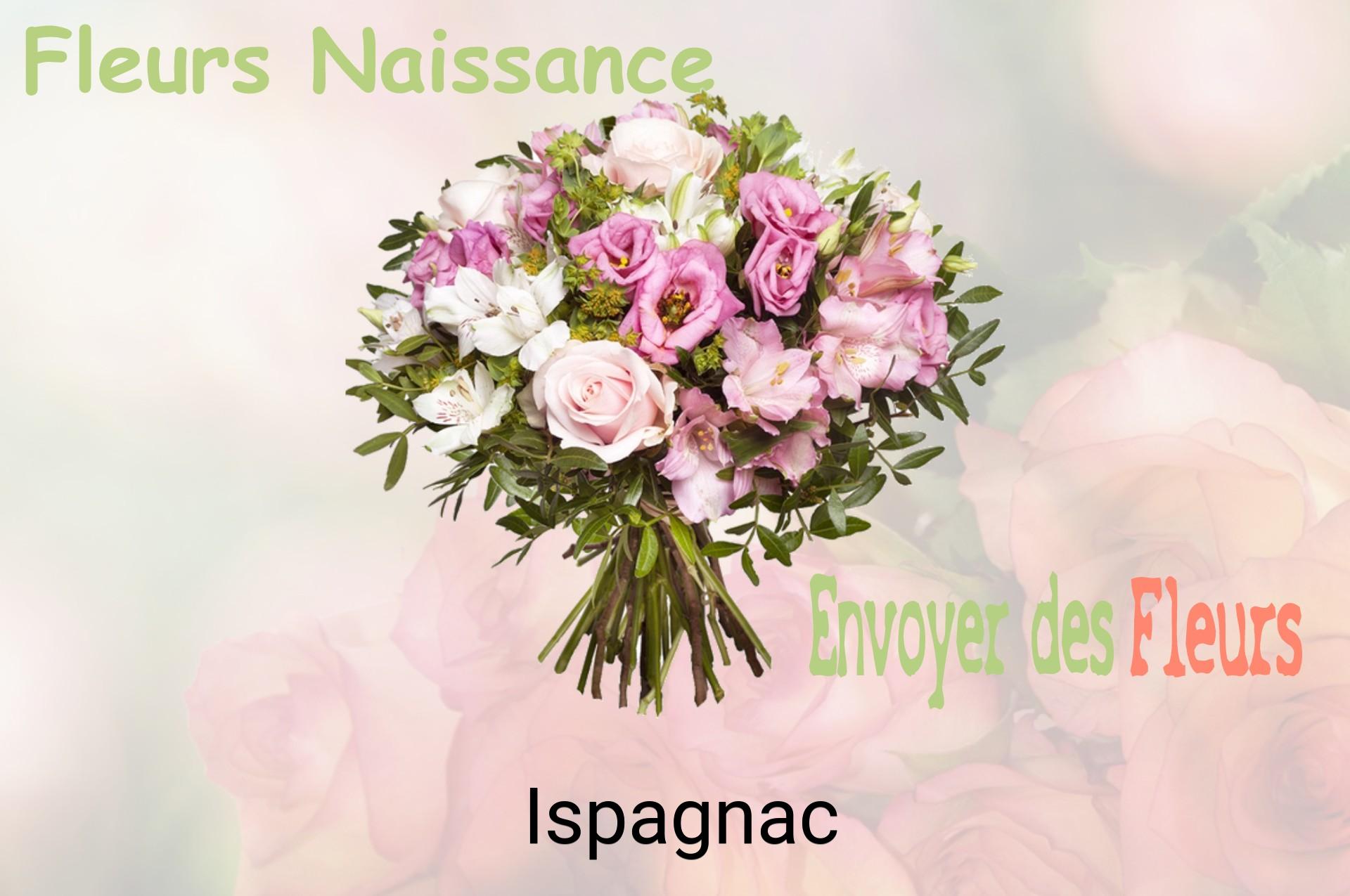 Bouquet de fleurs de naissance livré à Ispagnac